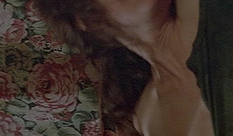 Susan Sarandon Nude Boobs And Nipples In King Of The Gypsies Movie