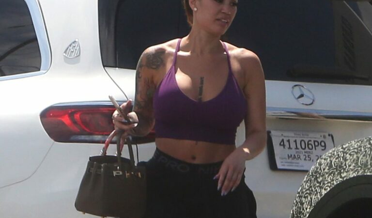 Telli Swift Shows Off Her Sexy Body in a Purple Top and Black Shorts in LA (9 Photos)