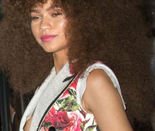 Zendaya Nip Slip (3 Photos)